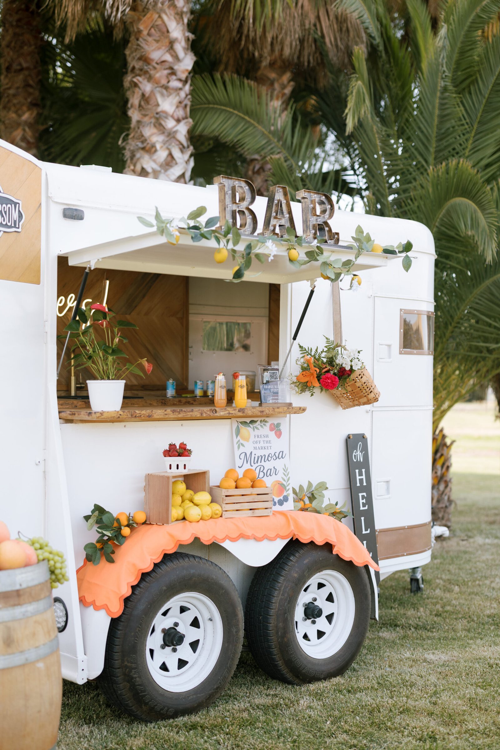 Wells Wood Collection – Summer Picnic